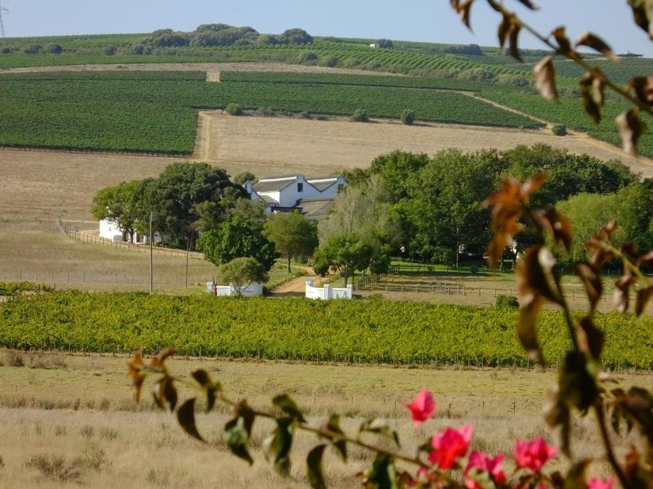Lauradale Stellenbosch
